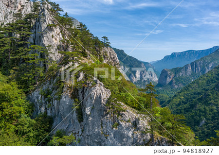 Pine tree on the rocks mountains landscape Pine tree on the rocks mountains landscape 94818927