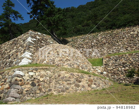 鳥取城跡 94818982