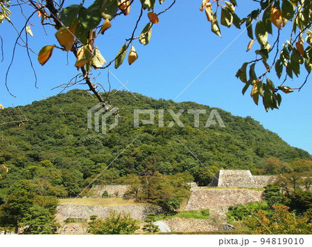 鳥取城跡 鳥取城跡 94819010