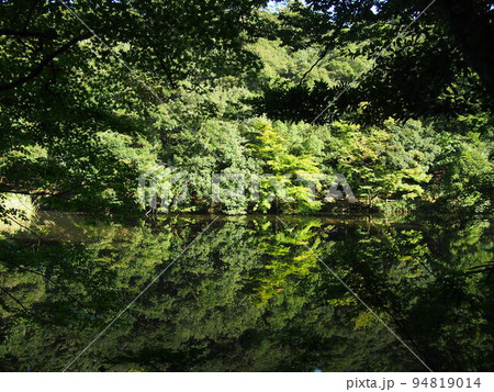 鳥取城跡 94819014