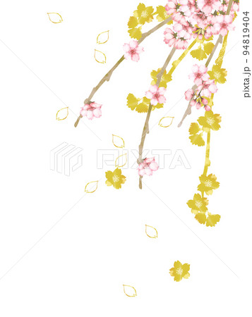 水彩の桜の枝とゴールドの桜 94819404