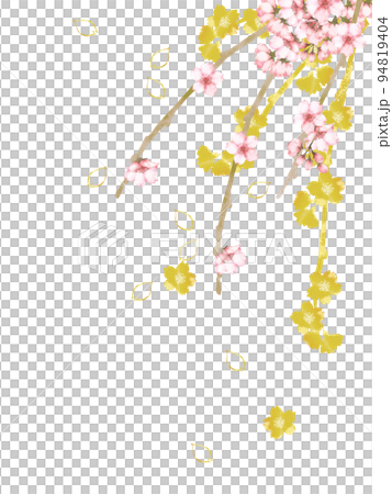 水彩の桜の枝とゴールドの桜 94819404