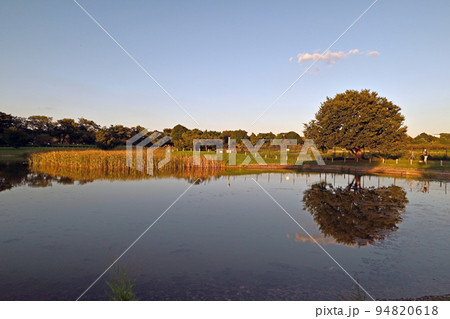 武蔵野の森公園 94820618