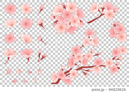 桜の花のイラストセット 94820626
