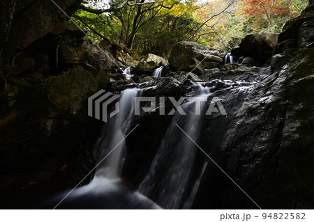 尼ン滝の紅葉 尼ン滝の紅葉 94822582