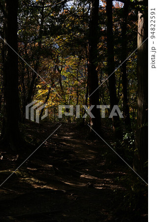 有馬富士の紅葉 94822591