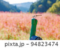 【岐阜県】赤いソバの花「福地いろどりむら」 94823474