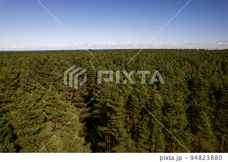 Drone photo of forests and groves in golden time 94823880