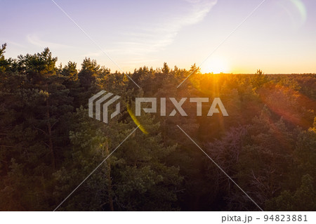 Drone photo of forests and groves in golden time 94823881