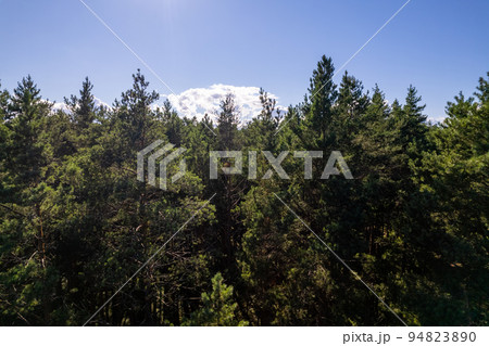 Drone photo of forests and groves in golden time 94823890