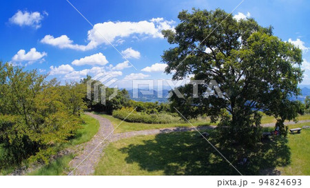 坂出・城山（きやま）山頂からの展望　榎 94824693