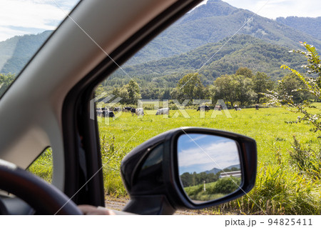 北海道の牧草地帯を運転している自動車からの景色 94825411