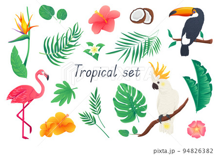 Tropical 3d realistic set. Bundle of colorful flowers and palms or monstera leaves, hibiscus, coconut, toucan, cockatoo parrot, flamingo and other exotic jungle isolated elements.Vector illustration Tropical 3d realistic set. Bundle of colorful flowers and palms or monstera leaves, hibiscus, coconut, toucan, cockatoo parrot, flamingo and other exotic jungle isolated elements.Vector illustration 94826382