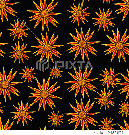 Organic textured pattern orange flowers on black seamless, beautiful daisy chamomile background wallpaper, nature conception, perfect for fabrics and decoration Organic textured pattern orange flowers on black seamless, beautiful daisy chamomile background wallpaper, nature conception, perfect for fabrics and decoration 94826794