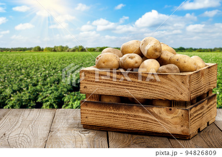 potatoes in wooden crate on table with green field 94826809