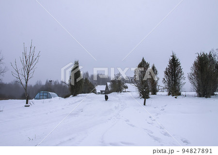 Small black dog running along the road in the village in winter day 94827891