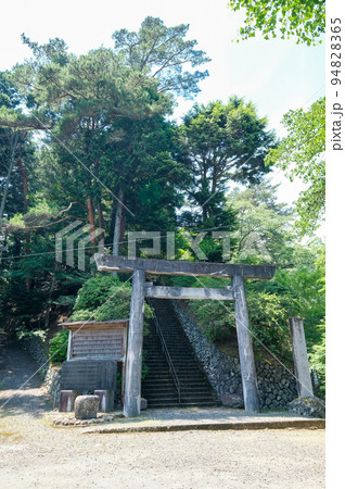東京都　奥多摩町　夏　小河内神社 94828365