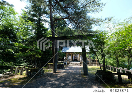 東京都　奥多摩町　夏　小河内神社 94828371