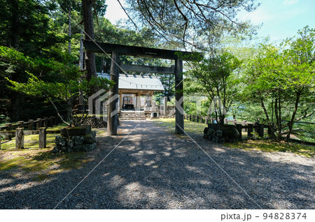 東京都　奥多摩町　夏　小河内神社 94828374