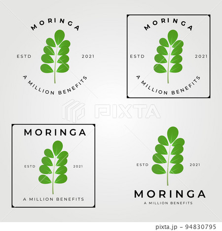 moringa oleifera set logo, miracle tree logo vector illustration design, natural medical , a million benefits 94830795