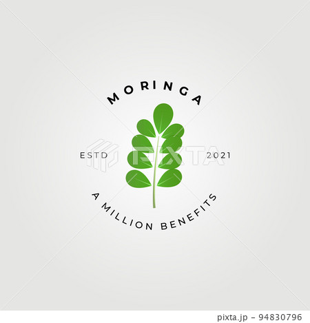 moringa oleifera , miracle tree logo vector illustration design, natural medical , a million benefits 94830796