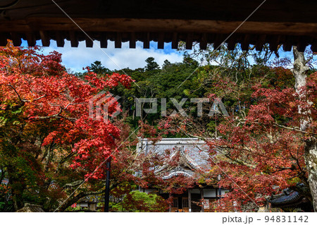 静岡県伊豆市修禅寺の紅葉 94831142
