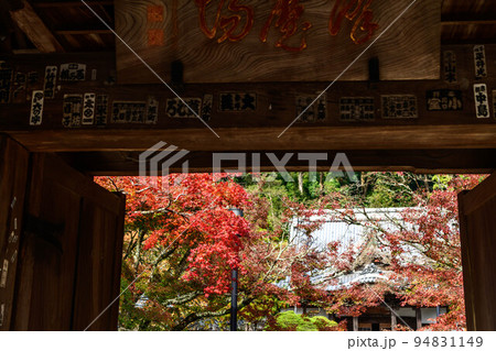 静岡県伊豆市修禅寺の紅葉 94831149