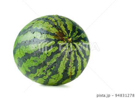 Whole watermelon on white background, space for text, close-up, at eye level. Oblong giant berry in green smooth thick rind on light monochrome surface. 94831278