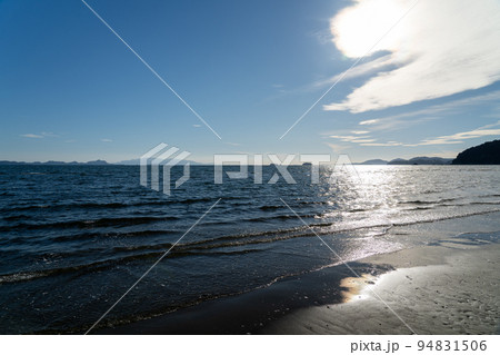 新舞子 新舞子 94831506