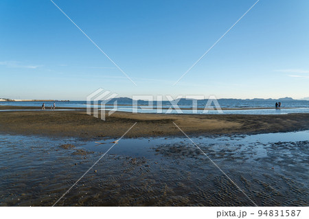 新舞子 新舞子 94831587