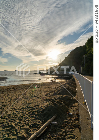 新舞子 新舞子 94831608