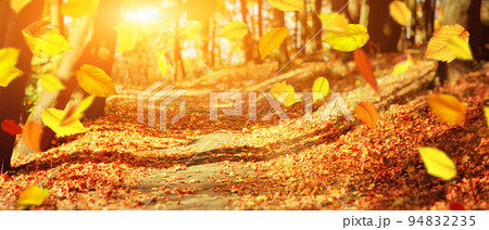 Colorful bright leaves falling in autumnal park. 94832235