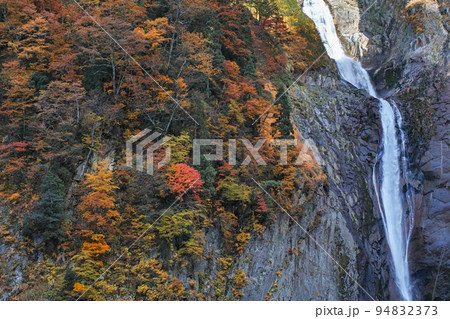 富山県/ 美しい称名滝の紅葉 富山県/ 美しい称名滝の紅葉 94832373
