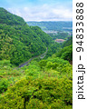 秩父さくら湖　浦山ダム　天端から秩父盆地方面の眺め　早朝新緑の風景 94833888