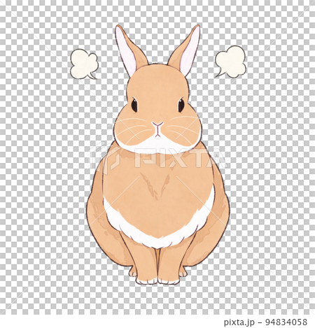 Brown rabbit Martin expression (angry) Brown rabbit Martin expression (angry) 94834058