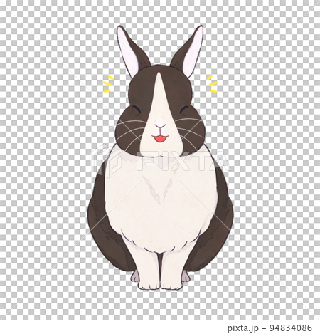 深棕兔荷蘭語表情（喜悅） 94834086