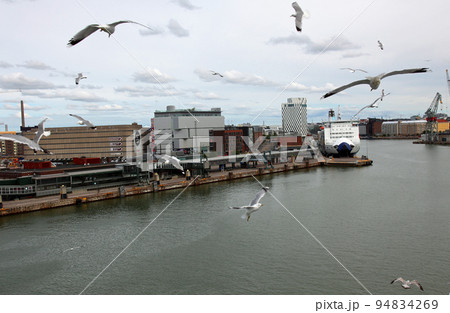 カモメの群れが飛び交うヘルシンキ港の港湾 94834269