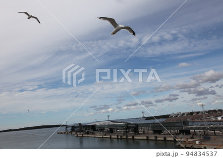 ヘルシンキの港湾を飛び交うカモメの群れ 94834537