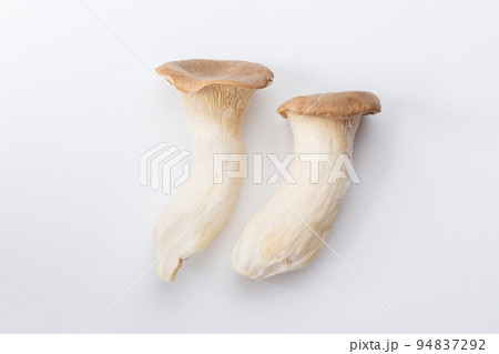 エリンギ 94837292