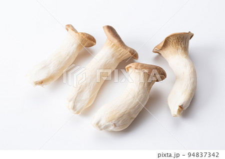 エリンギ エリンギ 94837342