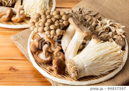 きのこ集合 94837397