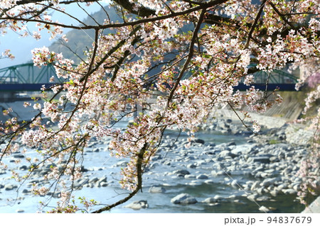 下呂温泉 飛騨川のさくら 下呂温泉 飛騨川のさくら 94837679