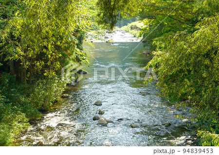 栗巣川【東氏館跡庭園】 栗巣川【東氏館跡庭園】 94839453