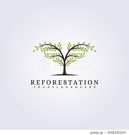 reforestation evergreen green forest logo vector illustration design reforestation evergreen green forest logo vector illustration design 94839504