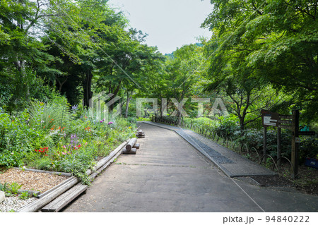 東京都 八王子市 夏 夕やけ小やけふれあいの里 東京都 八王子市 夏 夕やけ小やけふれあいの里 94840222