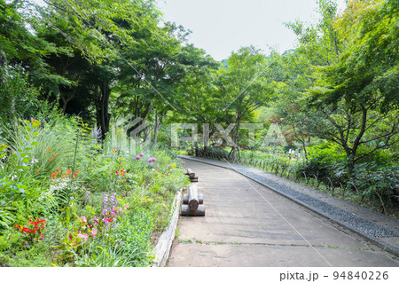 東京都　八王子市　夏　夕やけ小やけふれあいの里 94840226