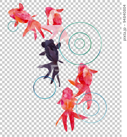 A school of goldfish, Ryukin, Kamimi 94840804
