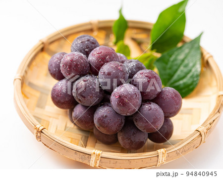 秋の味覚 ぶどう（葡萄）巨峰  種なし巨峰 フルーツ 94840945
