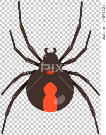 セアカゴケグモ セアカゴケグモ 94841528