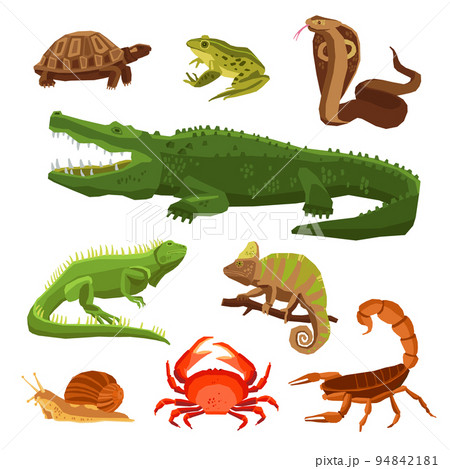 Reptiles And Amphibians Set 94842181
